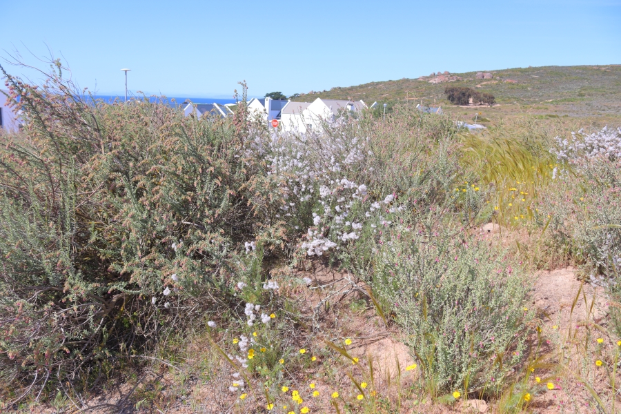0 Bedroom Property for Sale in Harbour Lights Western Cape